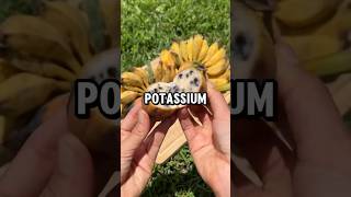 Potassium fruit potassium fruit shorts healthcaretips motivation facts [upl. by Nialb389]