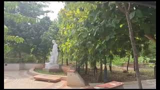 Jayasree Nature and Flower World 🌎 Kanha Shantivanam [upl. by Klump]