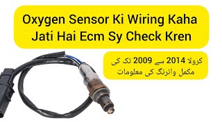 Oxygen Sensor Wiring Diagram All Data Of Oxygen Sensor Oxygen Sensor To Ecm Wiring Diagram [upl. by Lrem408]