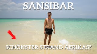 Schönster Strand Afrikas Sansibar I Safari Blue Tour [upl. by Smaoht]