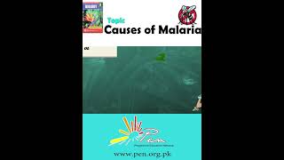 Causes of Malaria part 2 I Biology  Biology penacademy malarialifecycle malaria [upl. by Buford874]