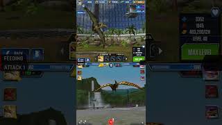 PTERODACTYLUS ALL EVOLUTION amp PTERODACTYLUS ALL ANIMATION  Jurassic World The Game [upl. by Phonsa121]