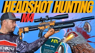 FX IMPACT M4 HEADSHOT AIRGUN HUNTING I LONG RANGE AIRGUN HUNTING WITH FX IMPACT M4 [upl. by Isidore]