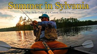 Summer in Sylvania 3Day Solo Trip in a Canoe Wilderness [upl. by Irihs]