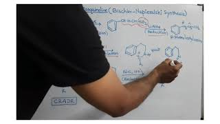 Preparation of Isoquinoline by Bischler Napieralski Synthesis [upl. by Brag274]