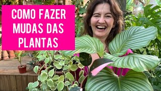 COMO FAZER MUDAS das PLANTAS 🌱🌼🌸🪴🏡 [upl. by Odilo]