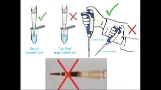 Micropipette Principle and Function [upl. by Yeniffit]