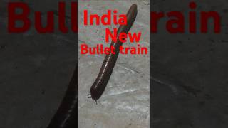 India new railway superfast expressrailway 🚂 motivationtrendingshortvideo 🚂🚂🚂🚂 [upl. by Enilarac]