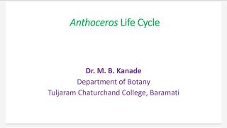 Anthoceros Life Cycle PartI [upl. by Naara]