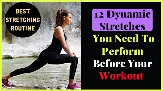 12 Dynamic Stretching Exercises To Be Done Before Workout  Complete Tutorial [upl. by Lustig206]