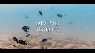 Diving in Tenerife with relaxing music 4k [upl. by Deragon]