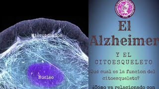 El citoesqueleto y la enfermedad del Alzheimer [upl. by Xxam]