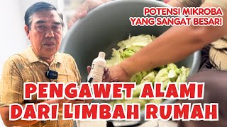 Mengenal Plantarisin Pengawet Alami dari Bakteri Lactobacillus Plantarum [upl. by Kalila552]