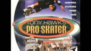 03 Goldfinger  Superman Tony Hawk Pro Skater Soundtrack [upl. by Ettevey]