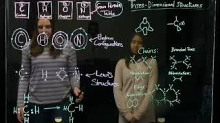 Carbon Hydrogen Oxygen and Nitrogen in Organic Molecules BIOS 041 [upl. by Molahs818]