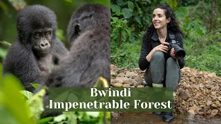 BUCKET LIST TRIP Gorilla Trekking in Uganda’s Bwindi Impenetrable Forest with Vivo Barefoot [upl. by Wallie]