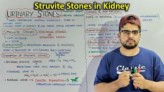 Struvite Stones A type of Kidney stones [upl. by Kcirdneh]