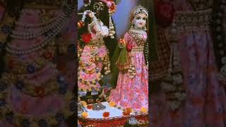 ll Dinanath Meri Baattrending love song radheshyam [upl. by Chenee135]