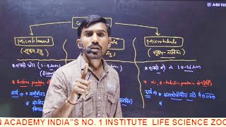 Centrosome centriolemicrobodies cytoskeleton Cell biology NEET part 9by TULCHHA RAM sir [upl. by Hullda]