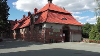 Stadnina Koni Miłosna w Kwidzynie cz  Milosna Horse Stud in Kwidzyn Poland part 1 [upl. by Klarrisa]