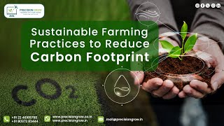 Transforming Agriculture for a Greener Future Sustainable Farming Practices Reduce Carbon Footprint [upl. by Gora]