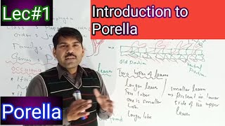 introduction to porella [upl. by Nichy]