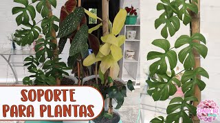 Soporte o tutor para plantas enredaderas y trepadoras │Candy Bu [upl. by Duquette]