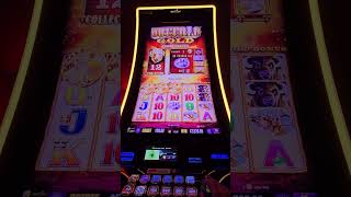 Over 5000 jackpot on Buffalo slot machine at Barona Casino [upl. by Maddis]