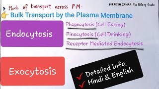 ENDOCYTOSIS AND EXOCYTOSIS  Bulk Transport by Cell Membrane  Phagocytosis and Pinocytosis [upl. by Forrest]