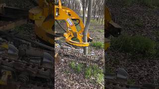 TreeDigging didingmachine treedidingmachine treedidingvideo HeavyMachinery TreeRemoval [upl. by Naid]