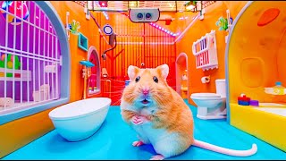 🌈 Hamsters Magical Escape from the Rainbow Maze 🐹 Hamster Maze [upl. by Neellok]