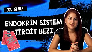 7 TİROİT BEZİ  ENDOKRİN SİSTEM 2  11 SINIF  AYT BİYOLOJİ DERS NOTLARI  2024 [upl. by Eremihc297]