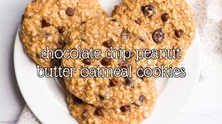 Healthy Chocolate Chip Peanut Butter Oatmeal Cookies  Amys Healthy Baking [upl. by Rosemarie]