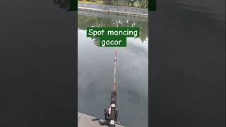 Mancing ikan fishing mancingmania mancing mancing ikan koi casting castingfishing [upl. by Patman]