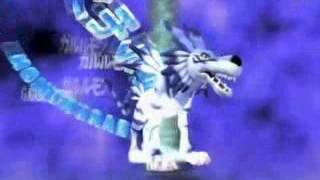 Garurumon Digivolve to Weregarurumon HQ ENGLISH [upl. by Mommy875]