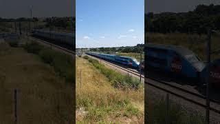 Ouigo en freinage LGV BPL train sncf trainspotting chemindefer tgv france railway hightspeed [upl. by Sell]