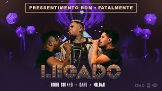 Rodriguinho Gaab e Mr Dan  Pressentimento  Fatalmente part MC Livinho Legado  Ao Vivo [upl. by Stanwin]