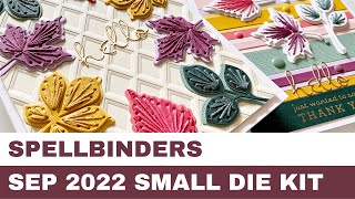 156 Spellbinders September 2022 Small Die Kit  Card Inspirations [upl. by Saref]