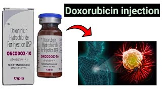 Doxorubicin hydrochloride for injection USP [upl. by Malvino152]