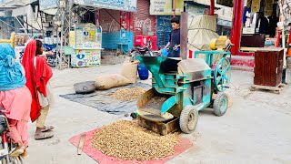 Dry Roasted Peanuts  Automatic Panut Roasting  Making Peanut s Perfectly [upl. by Lagas]