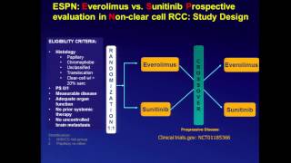 The Role of Tyrosine Kinase Inhibitors and mTOR Inhibitors [upl. by Stortz238]