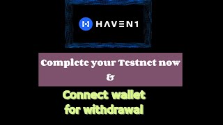 Haven1 Testnet tutorial This is how to do the Testnet amp Connect Wallet on Satoshi MetaMask haven1 [upl. by Sillig]