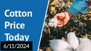 cotton rate todaycotton price todaytoday cotton rate aj kapas ka rate [upl. by Terrance420]