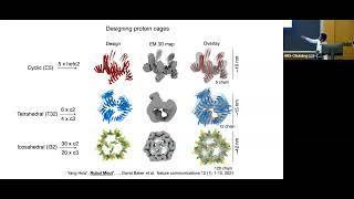 Designer proteins for stem cell engineering [upl. by Emerson]