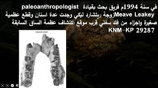 32 تطور الانسان النصف الأول من الجزء السادس عشر ومرحلة Australopithecus anamensis [upl. by Leasim928]