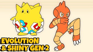 Pokemon Evolution FULL Generation 2 Animation 🌟 Shiny [upl. by Kcaj]