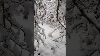 montagne hiver beautiful bosnia nature shortvideo ☝🏻🌨️🫶🏻❄️🤲🏻🗻 [upl. by Gonroff]