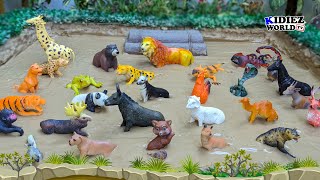 Forest Animals for Kids  An Animal Adventure in the Muddy Sandbox of Kidiez World TV [upl. by Enattirb945]