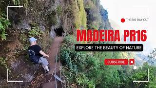 Exploring the Stunning PR16 Levada Fajã do Rodrigues Hike in Madeira  4K [upl. by Earal895]