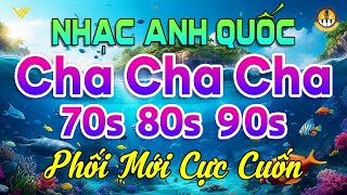 LK ChaChaCha Melody Anh Quốc Phối Mới Cực Cuốn  Nhạc Không Lời Cha Cha Cha Kỉ Niệm Thời 7X 8X 9X [upl. by Redmund14]